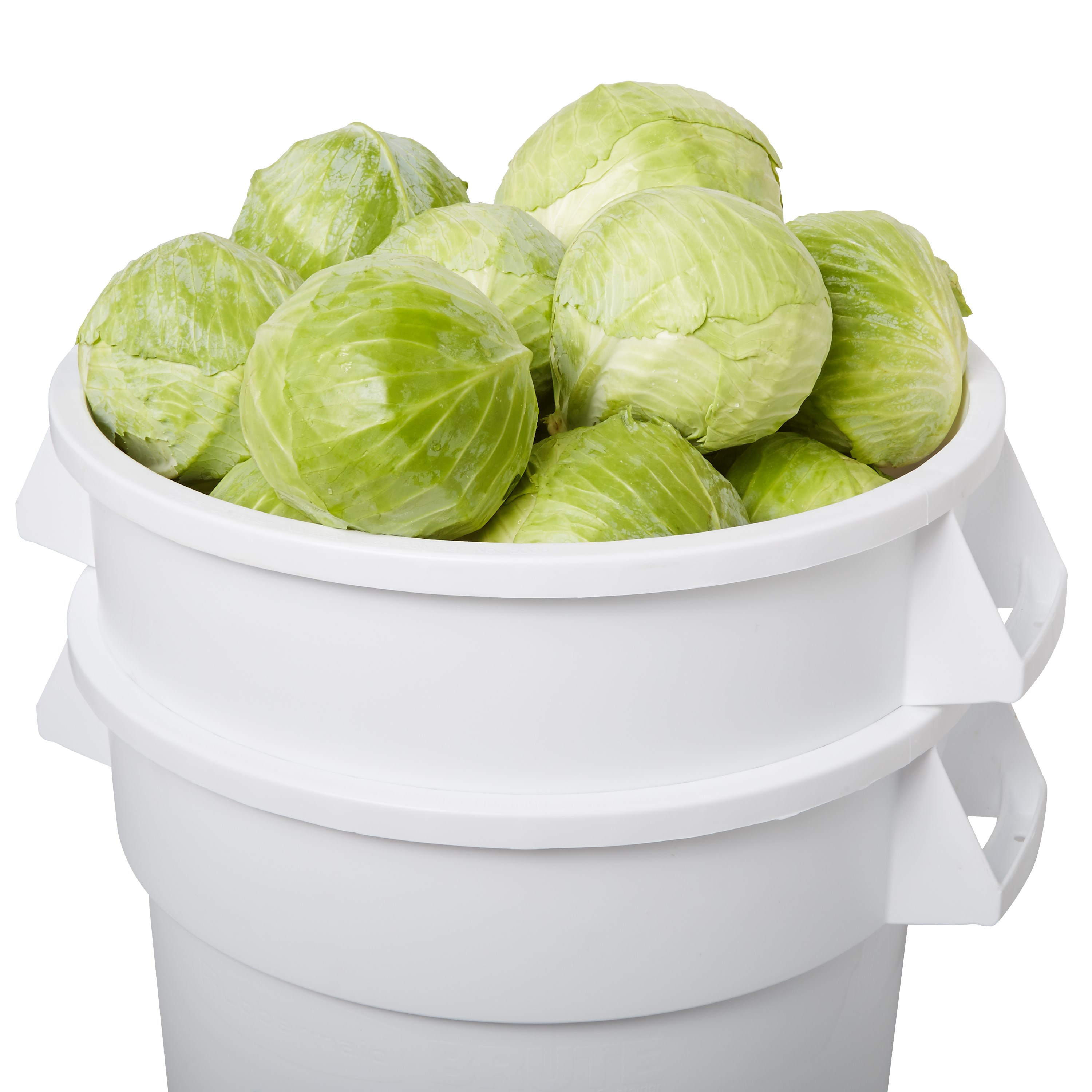 The BRUTE® Greenskeeper Food Container with Lid and Dolly helps keep greens fresh.