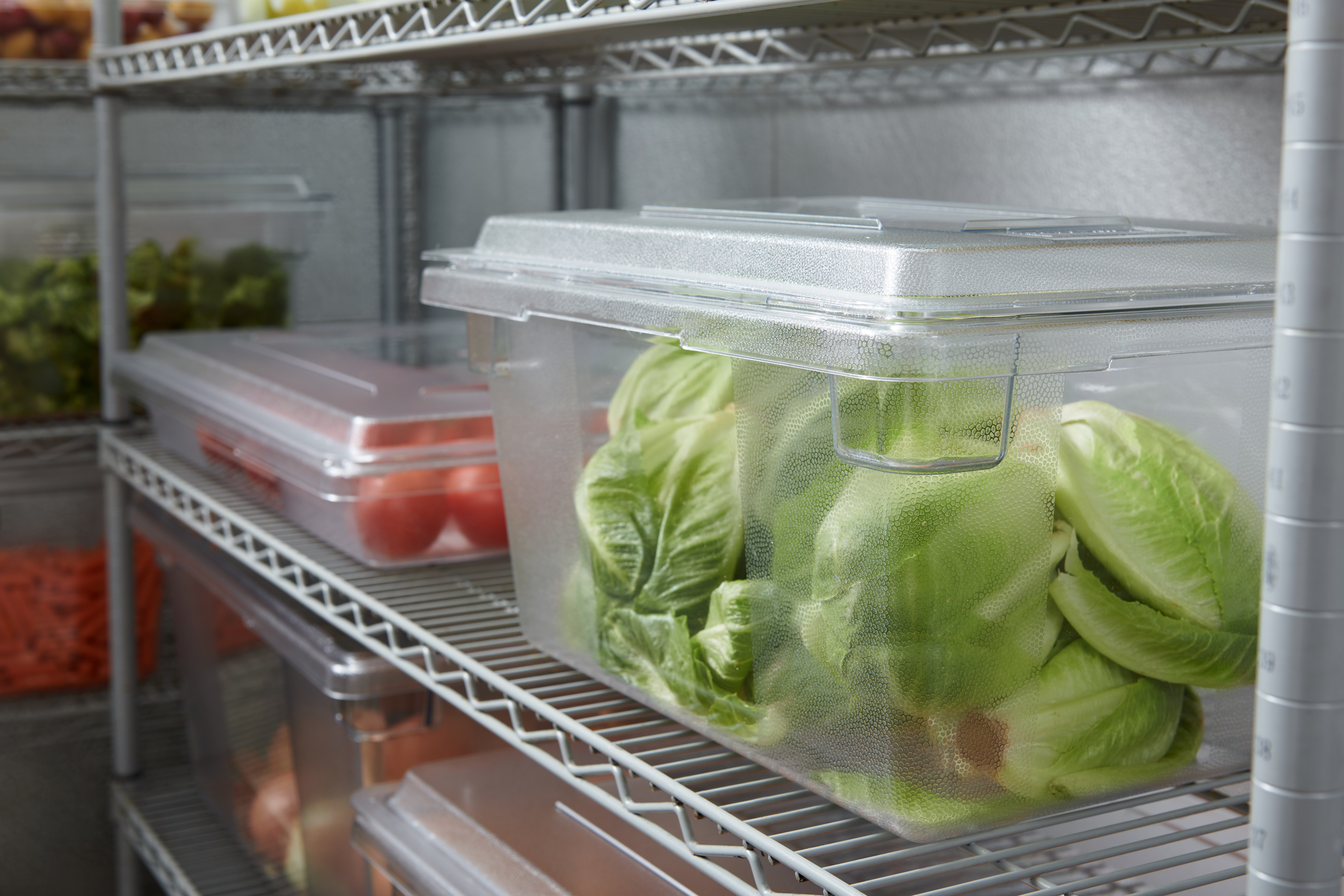 The Rubbermaid Commercial Food Storage Container can be used to store or serve food.