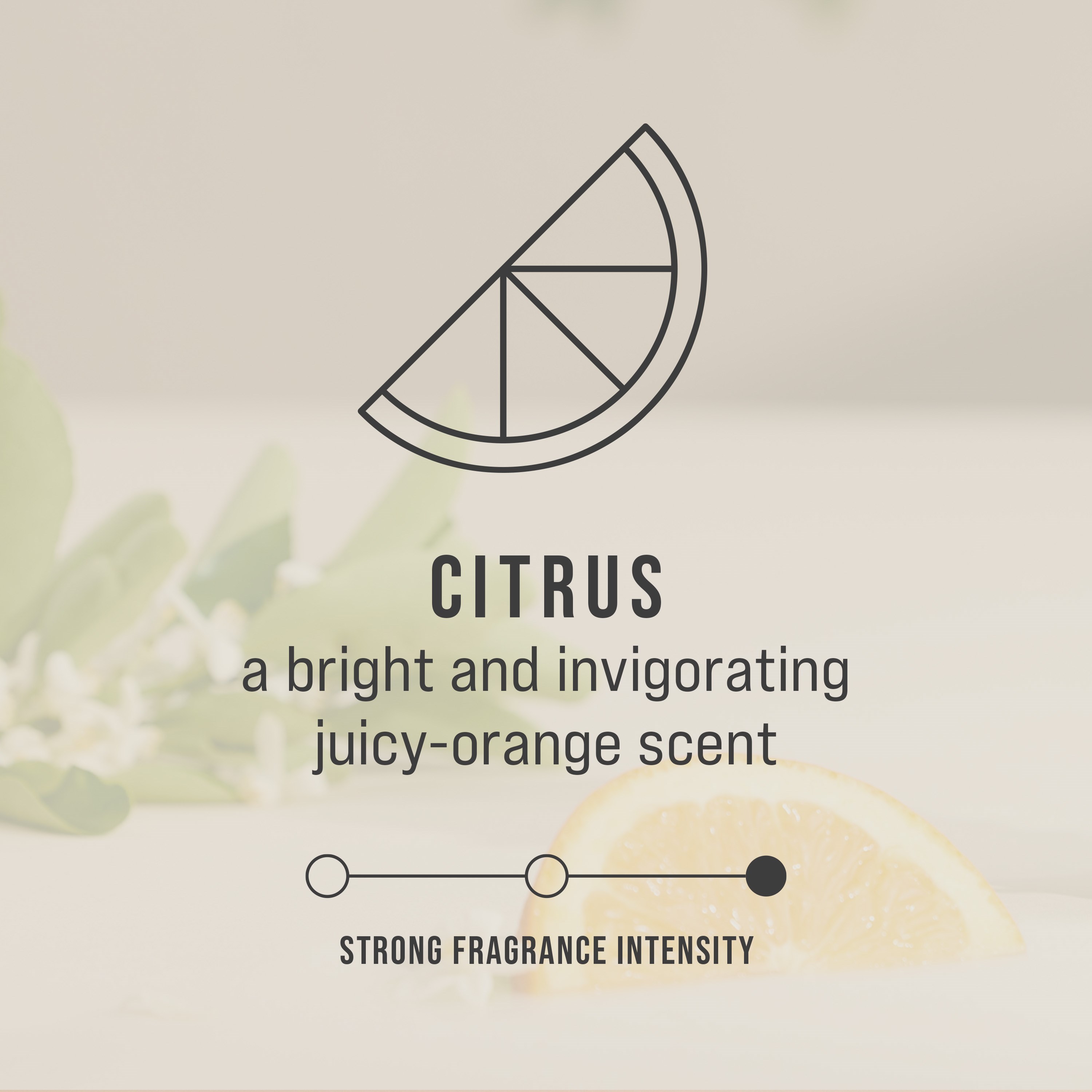 The Rubbermaid Commercial Products® CirculAir 90™ Citrus scent refill is engineered to deliver reliable air care performance with verified recyclability. Made from a single material, the refill is recycle-stream-ready and requires no dismantling.