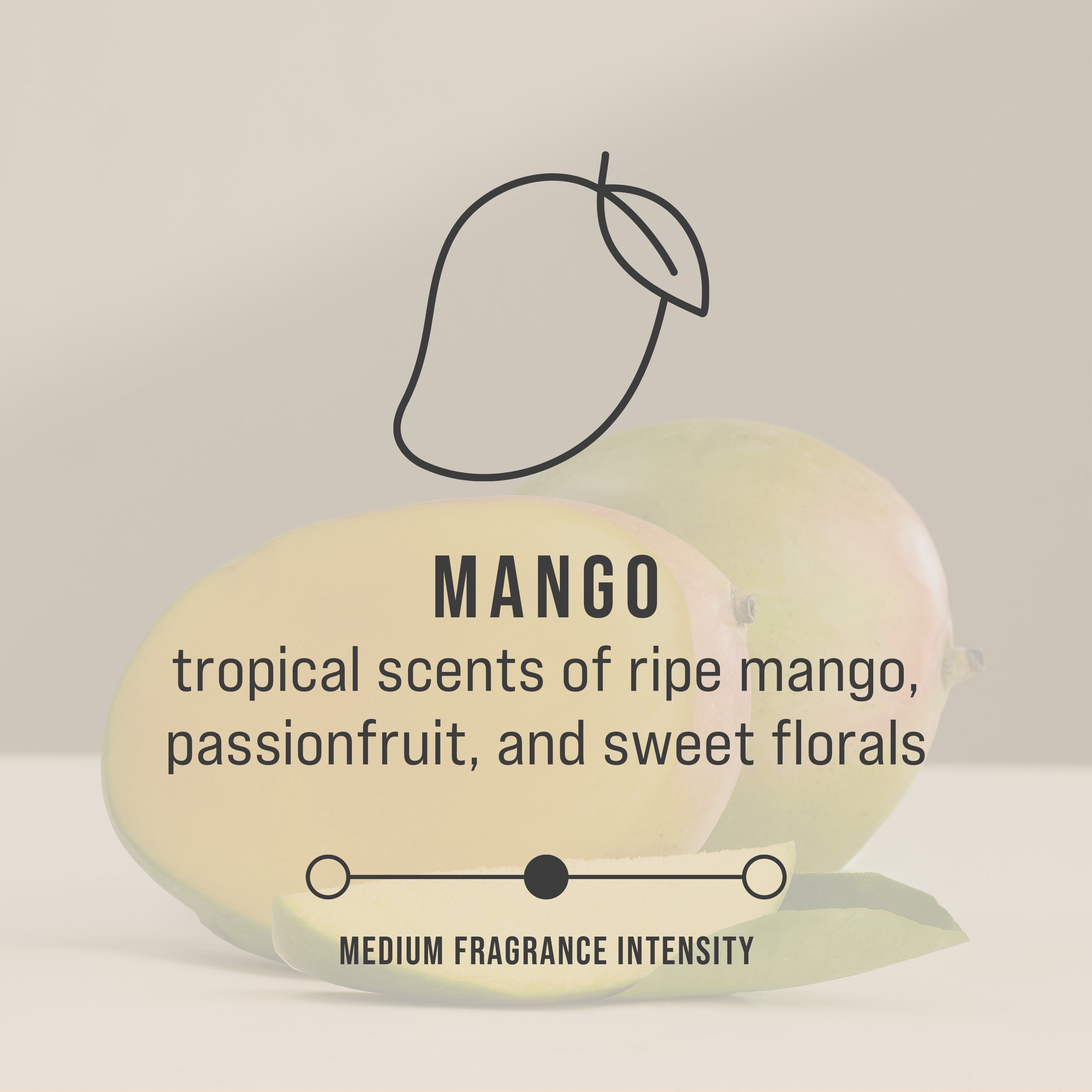 น้ำยาเติมปรับอากาศ Rubbermaid Commercial Products CirculAir 90™ กลิ่นมะม่วง ออกแบบมาเพื่อมอบประสิทธิภาพการดูแลอากาศที่เชื่อถือได้ พร้อมการรีไซเคิลที่ได้รับการรับรอง ผลิตจากวัสดุชนิดเดียว จึงพร้อมสำหรับการรีไซเคิลและไม่จำเป็นต้องถอดชิ้นส่วน