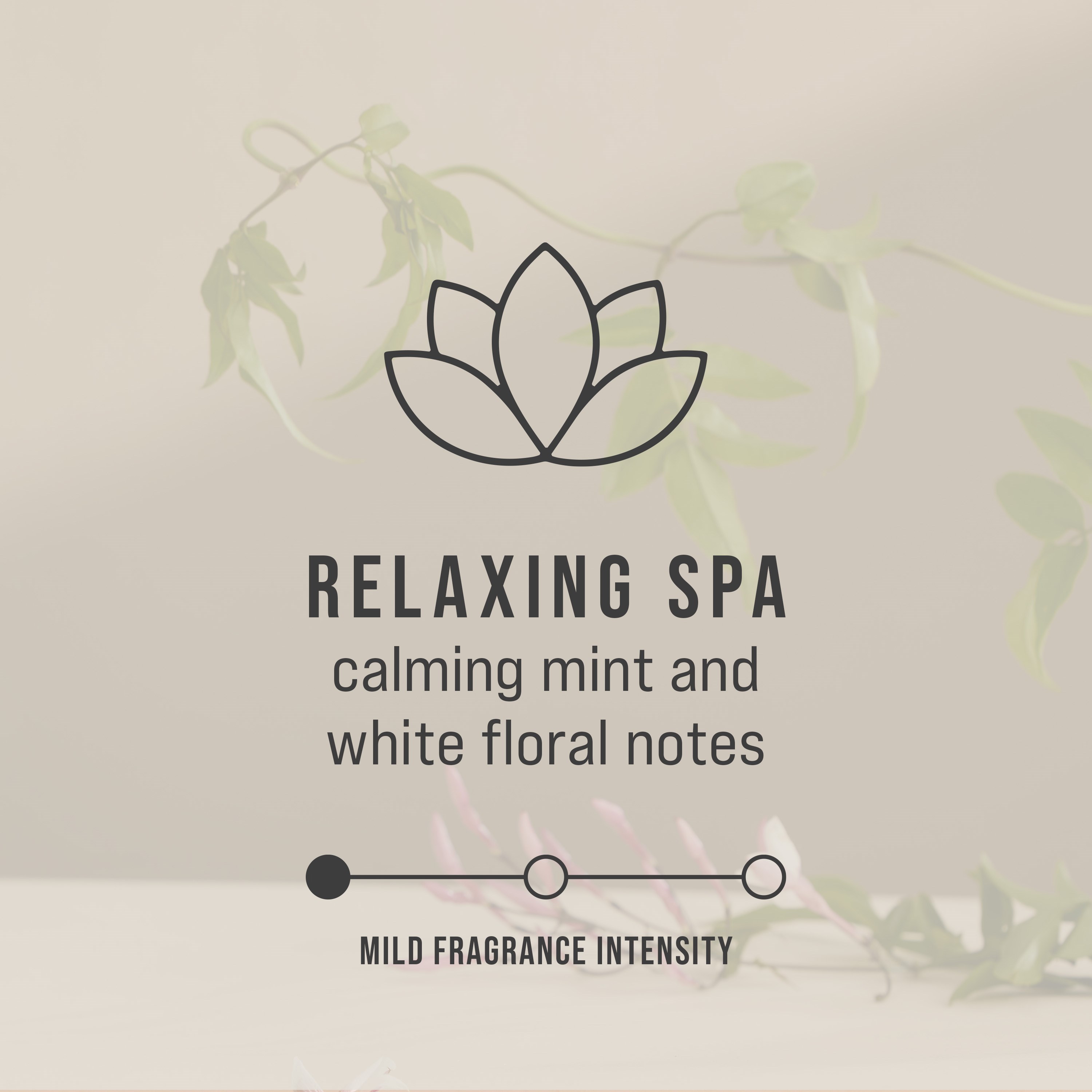 ラバーメイド・コマーシャル・プロダクツ® サーキュラーエア90™ リラックススパ香りのリフィルは、信頼性の高い空気清浄性能と実証済みのリサイクル性を実現するよう設計されています。単一素材で作られており、リサイクル工程にそのまま投入可能で分解作業は不要です。