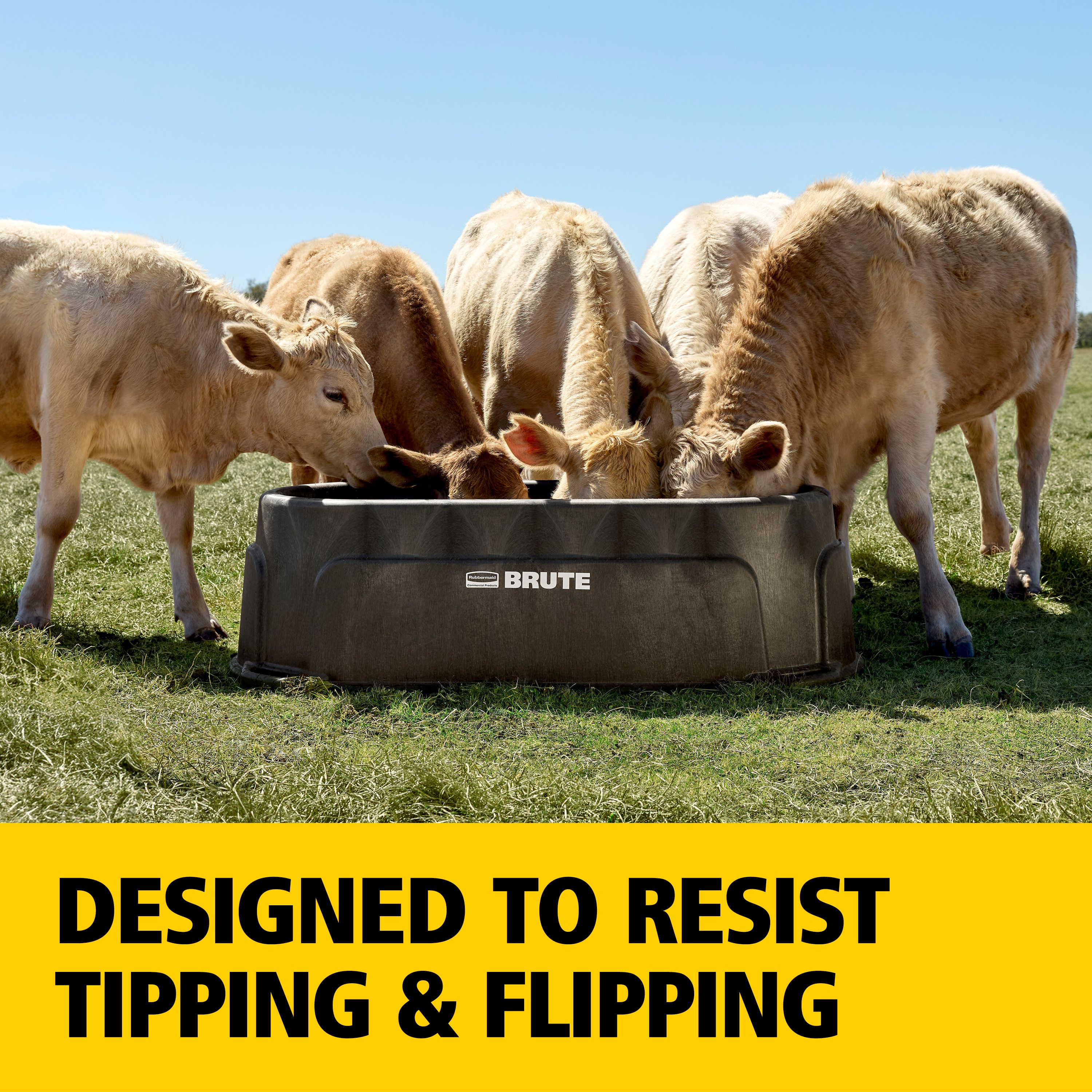 BRUTE® 5 Ft Bunk Animal Feeder delivers dependable performance season after season. Its weather-, impact-, and corrosion-resistant design is engineered for the most rugged outdoor conditions, while its durable RigidCell™ construction offers the same trusted strength as RCP stock tanks.