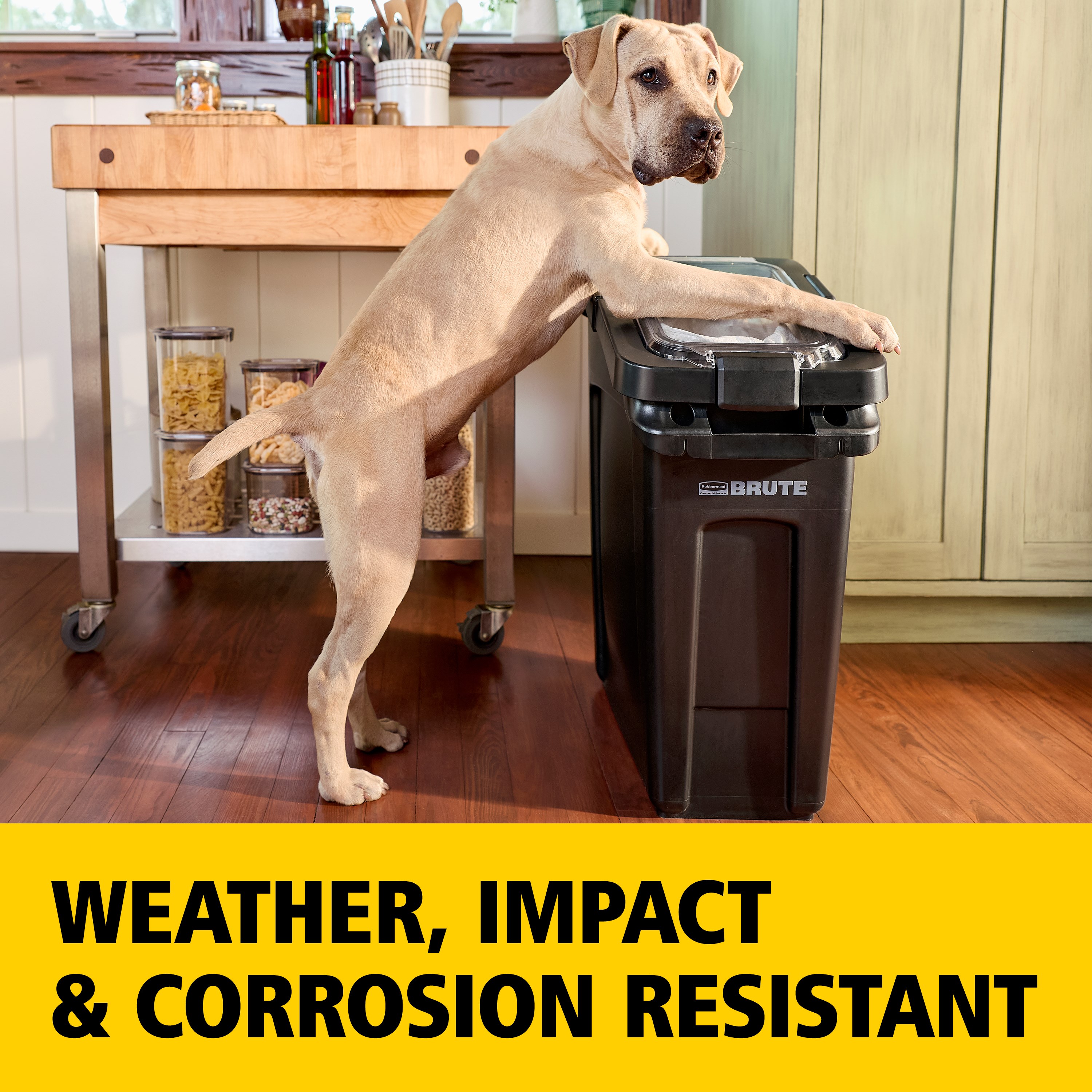 BRUTE®  Air-tight 50 lb Feed Storage Container is built to perform in tough farm environments. The feeder holds a standard 50 lb feed bag—to keep food fresher, whether in or out of the bag.