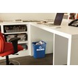 Expert-designed waste stream labels feature three visual cues, the recycling symbol, a stream icon and verbiage proven to increase recycling effectiveness. Kit includes labels designed for wastebaskets.