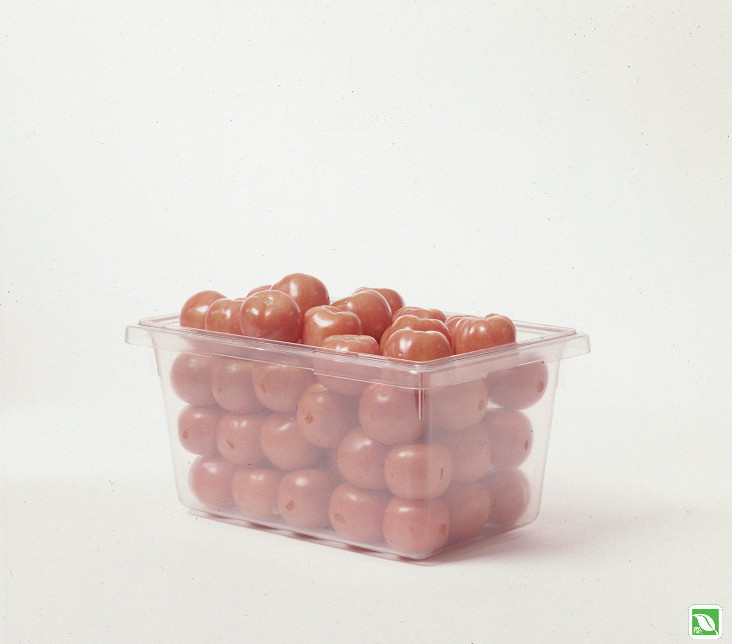 The Rubbermaid Commercial Food Storage Container can be used to store or serve food.